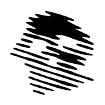 Amare Web Engineering client partner